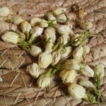 Mini "Trèfles" Séchés
