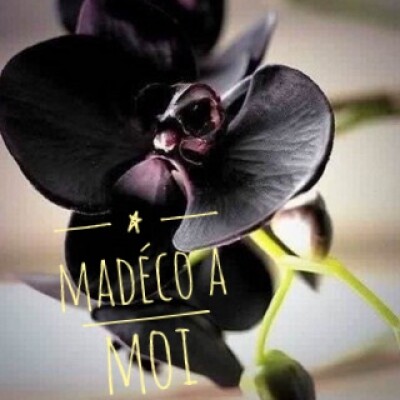 Parfum Pur pour Diffuseur Orchidée Noire